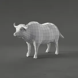 Buffalo